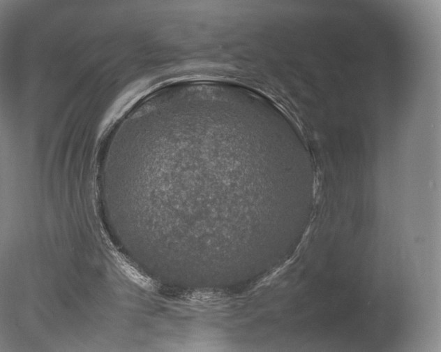 X0000078020101200610271244