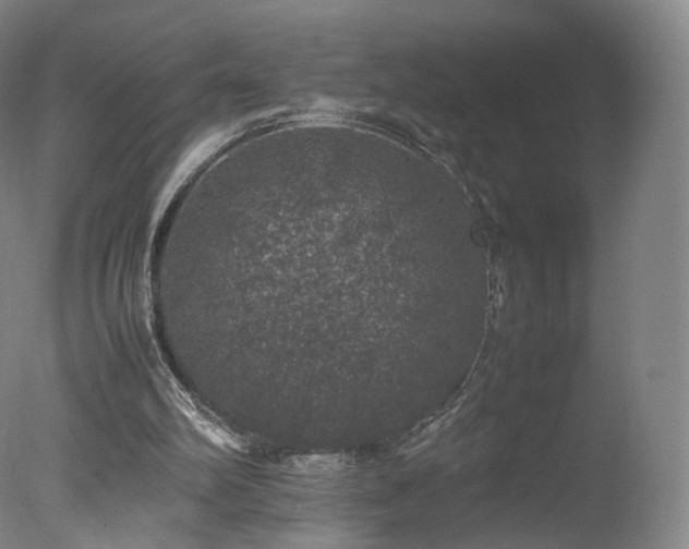 X0000078020102200610271244