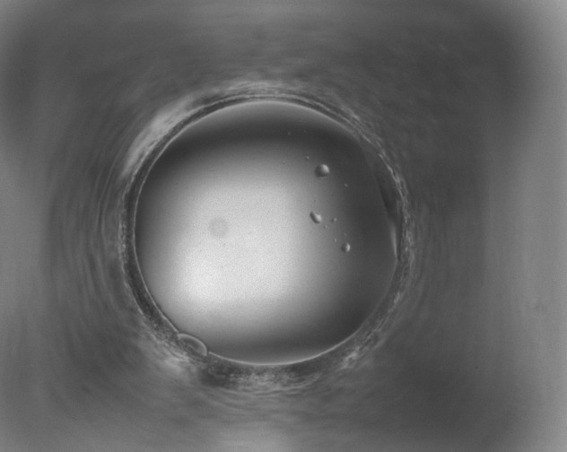 X0000078020103200610271244