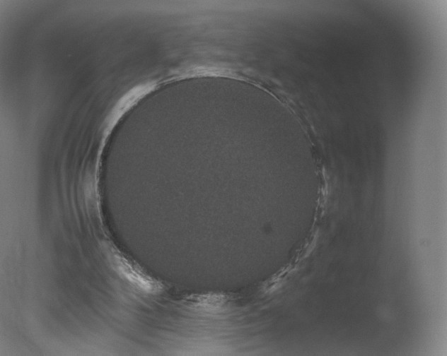 X0000078020104200610271244