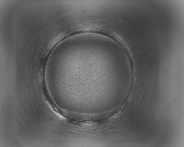 X0000078020105200610271244