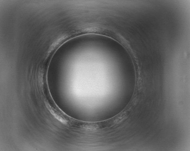 X0000078020106200610271244