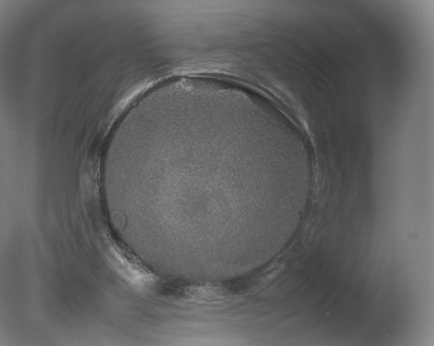 X0000078020107200610271244