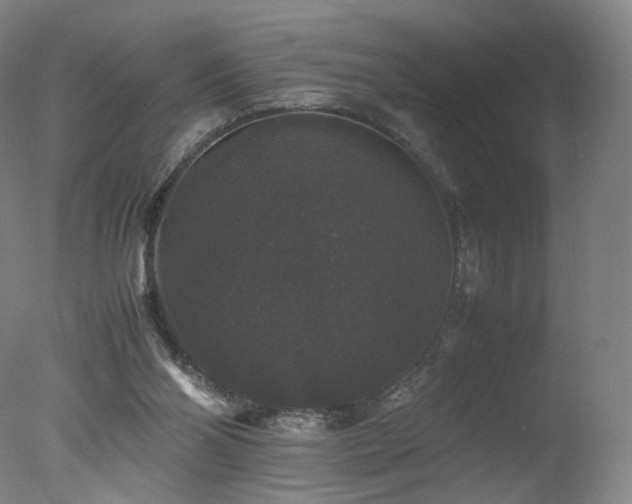 X0000078020110200610271244