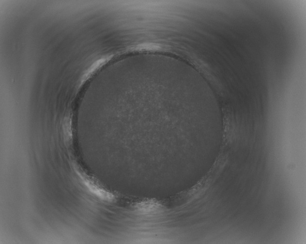 X0000078020112200610271244