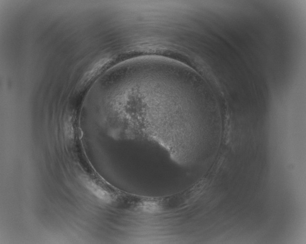 X0000078020114200610271244