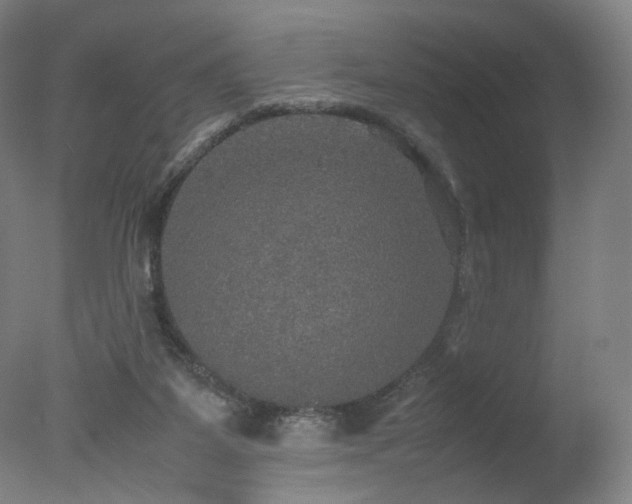 X0000078020115200610271244