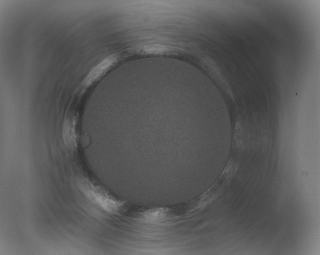 X0000078020116200610271244