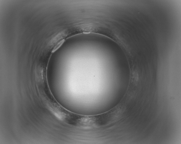 X0000078020117200610271244