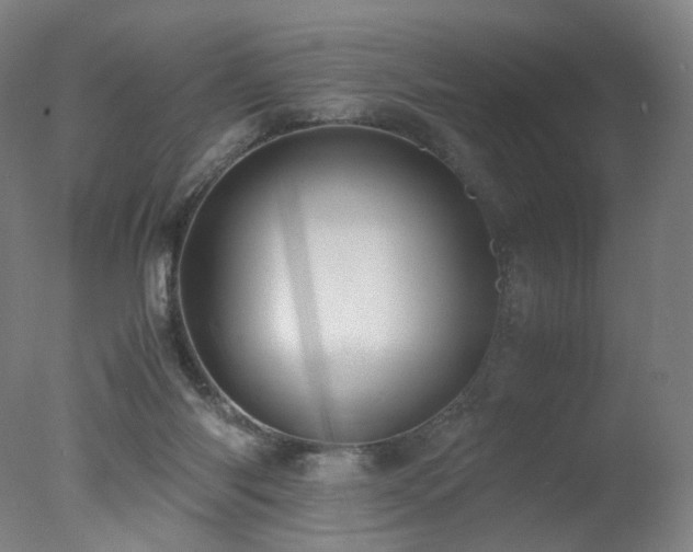 X0000078020118200610271244