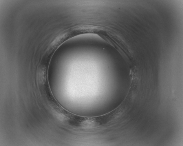 X0000078020119200610271244