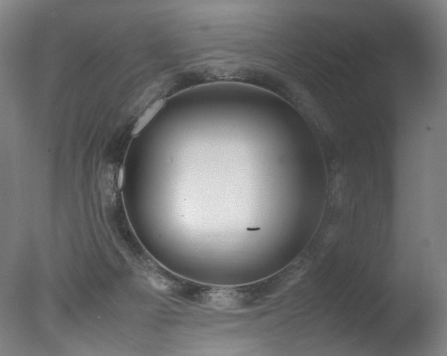 X0000078020121200610271244