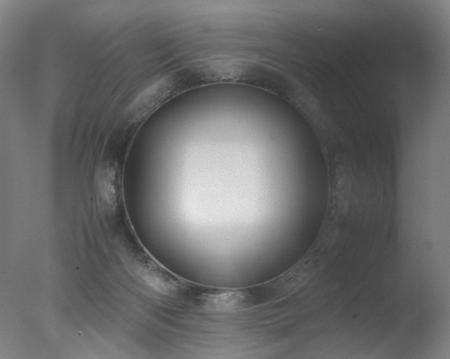 X0000078020122200610271244