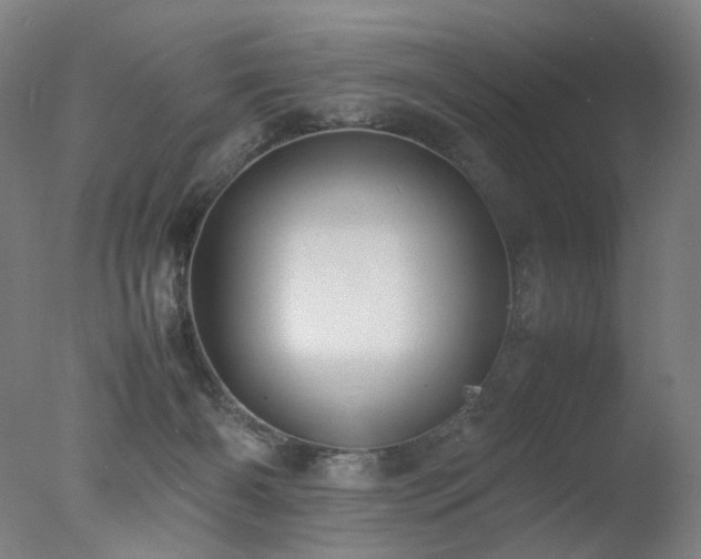 X0000078020126200610271244