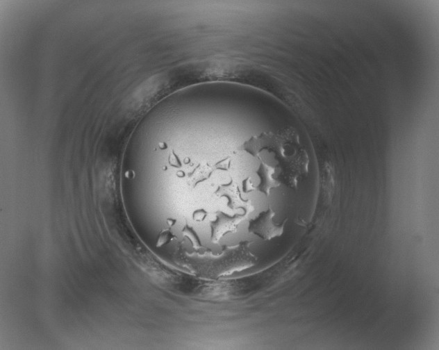 X0000078020127200610271244