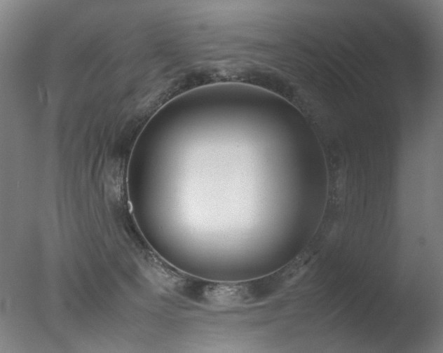 X0000078020129200610271244