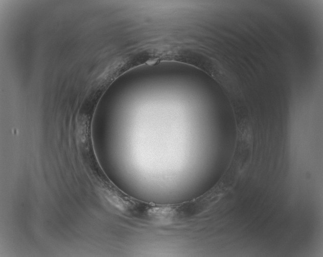 X0000078020133200610271244