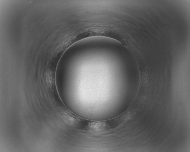 X0000078020135200610271244