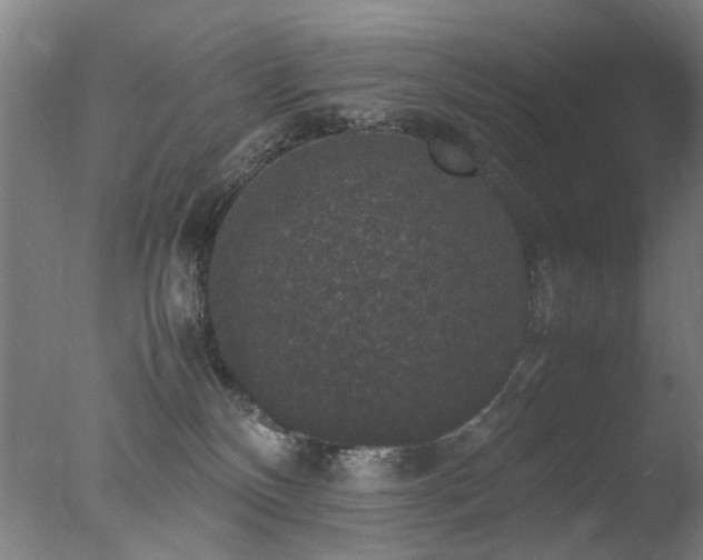 X0000078020136200610271243