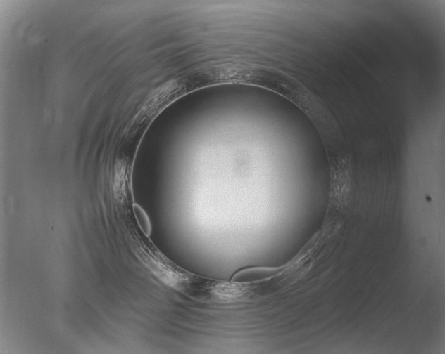 X0000078020142200610271243