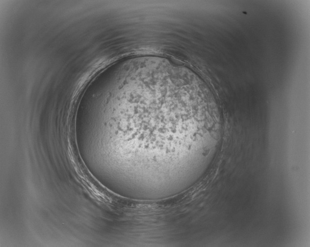 X0000078020145200610271243