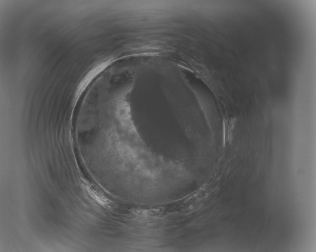 X0000078020147200610271243