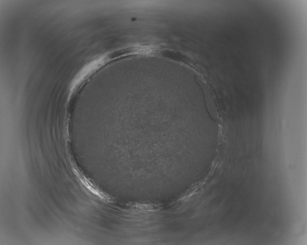 X0000078020149200610271243