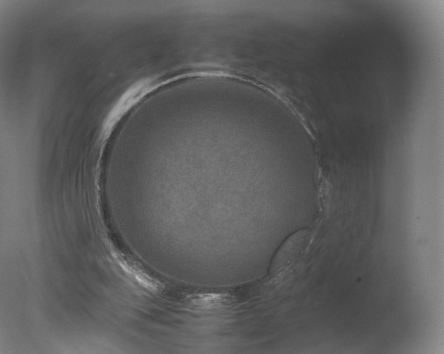 X0000078020151200610271243