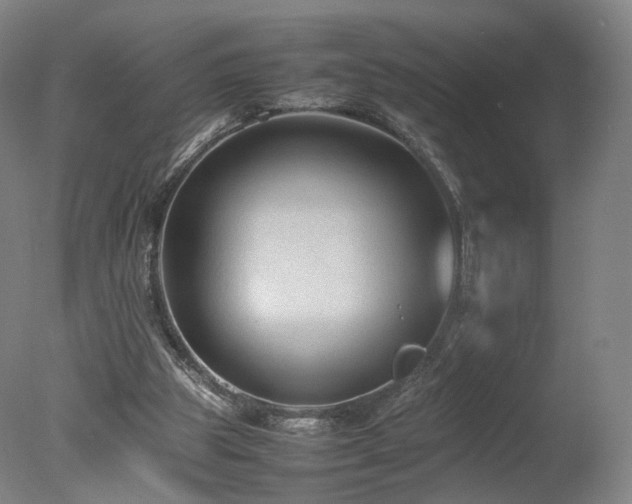 X0000078020153200610271243