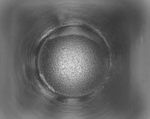 X0000078020154200610271243