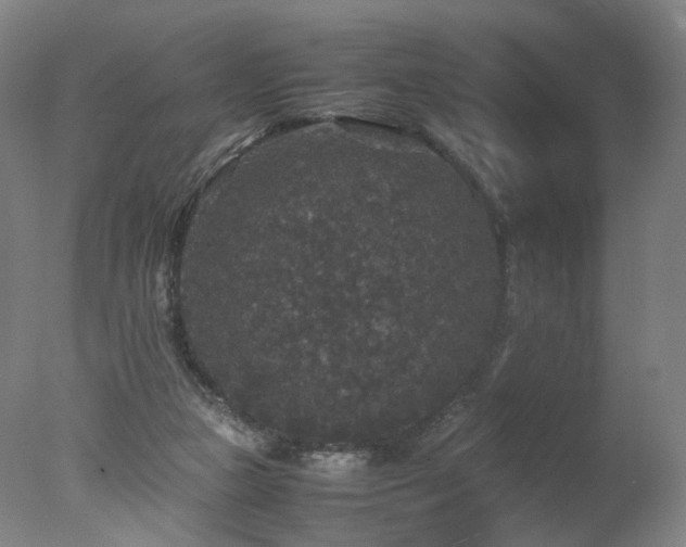 X0000078020161200610271243