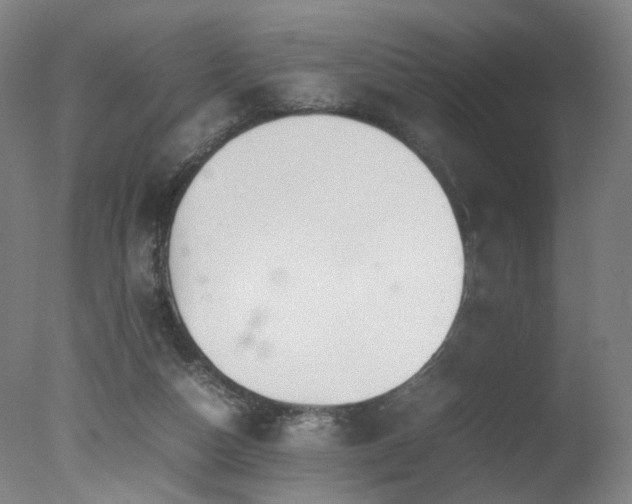 X0000078020162200610271243