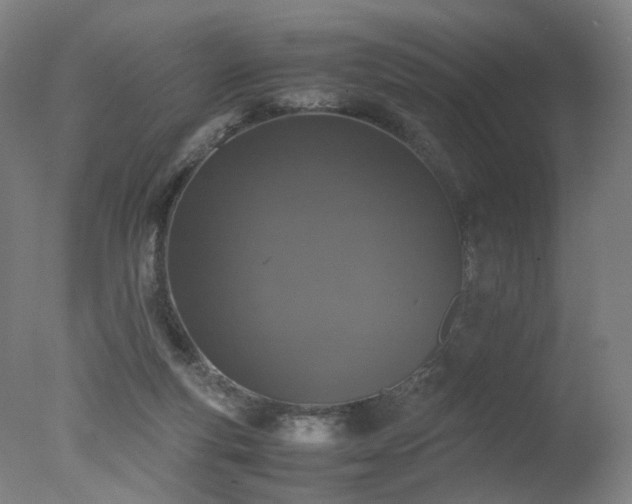 X0000078020163200610271243