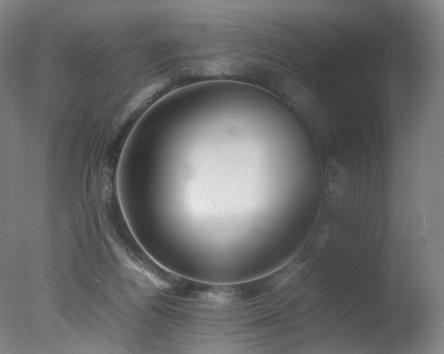 X0000078020164200610271243