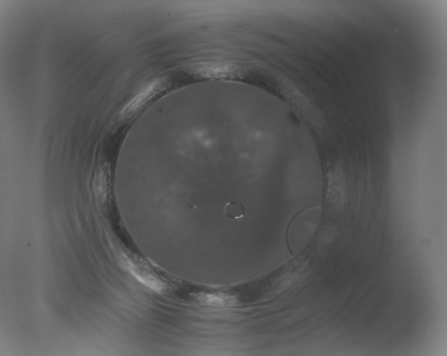 X0000078020165200610271243