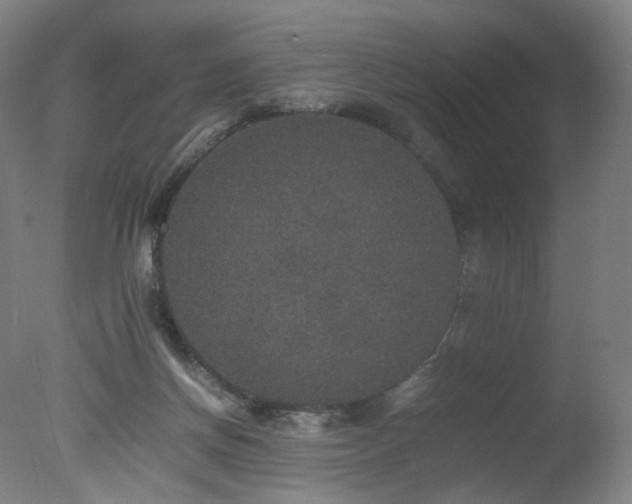 X0000078020166200610271243