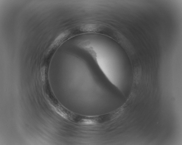 X0000078020167200610271243