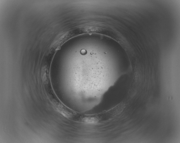 X0000078020169200610271243