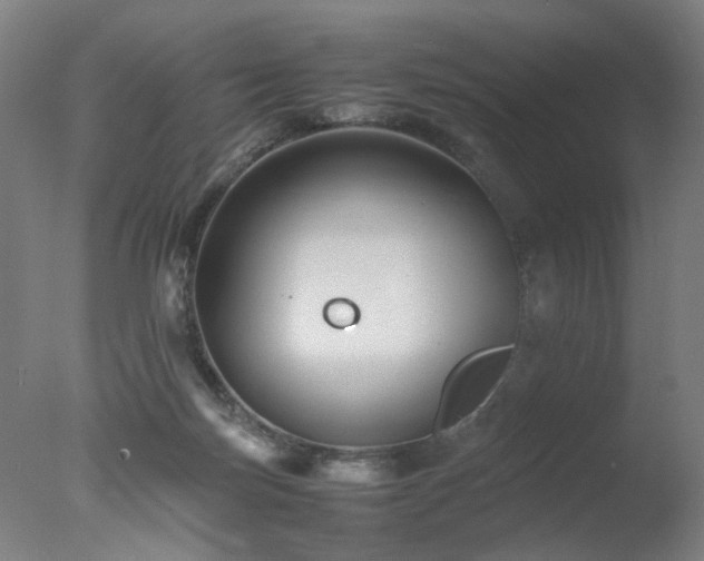 X0000078020171200610271243