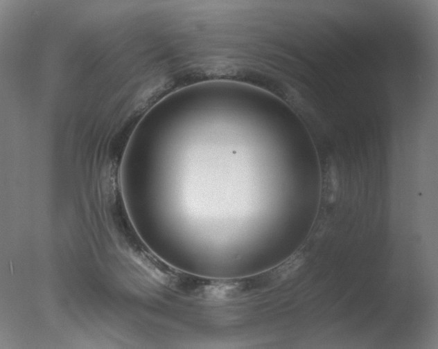 X0000078020172200610271243