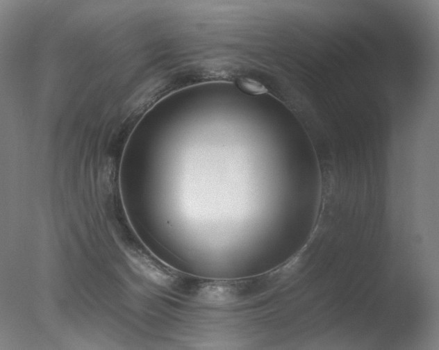 X0000078020174200610271243