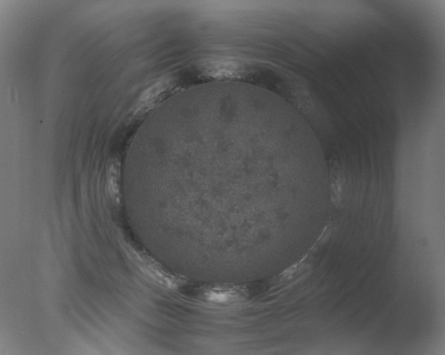 X0000078020175200610271243