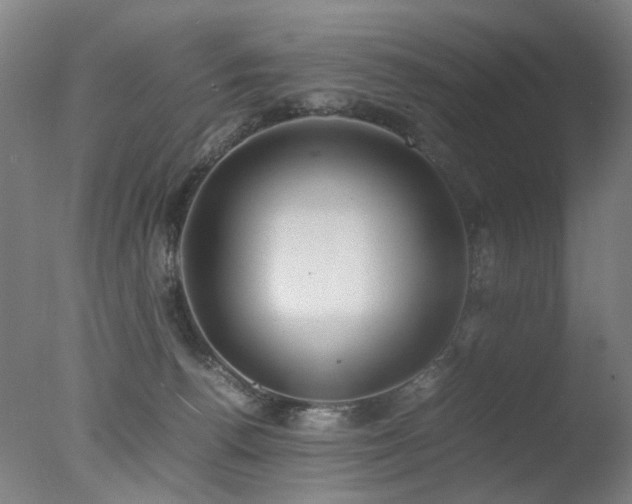 X0000078020176200610271243