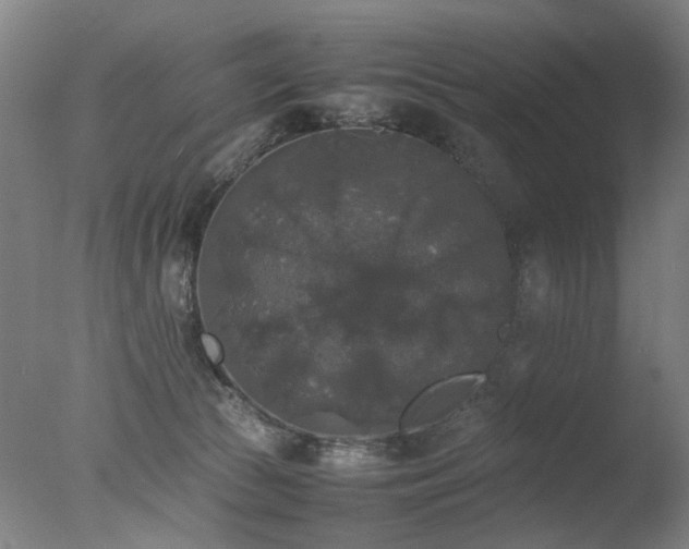 X0000078020177200610271243