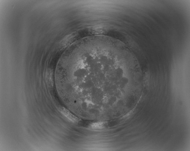 X0000078020178200610271243