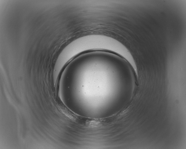 X0000078020180200610271243