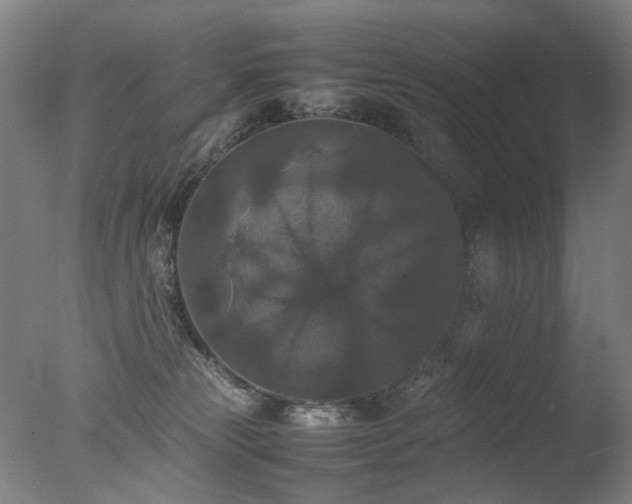 X0000078020181200610271243