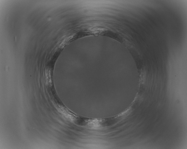 X0000078020182200610271243