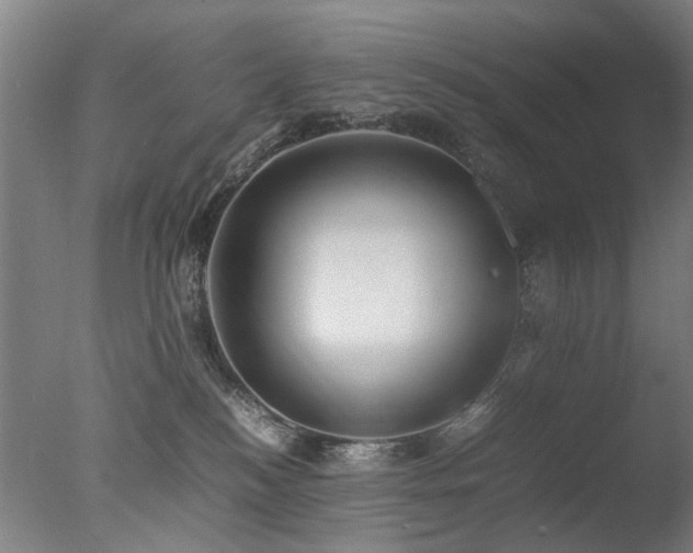 X0000078020184200610271243