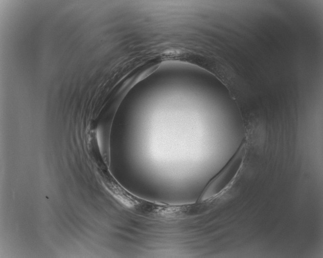 X0000078020186200610271243